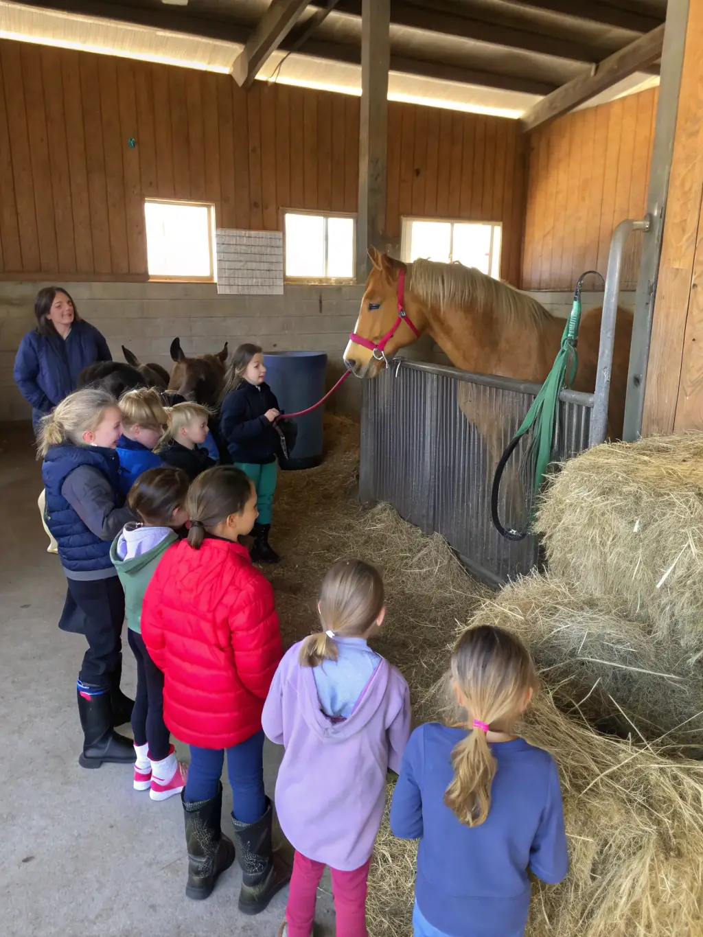 A photo of participants in a workshop learning about horse care and stable management, emphasizing hands-on experience and expert guidance at WESTERN ATTITUDE 19.